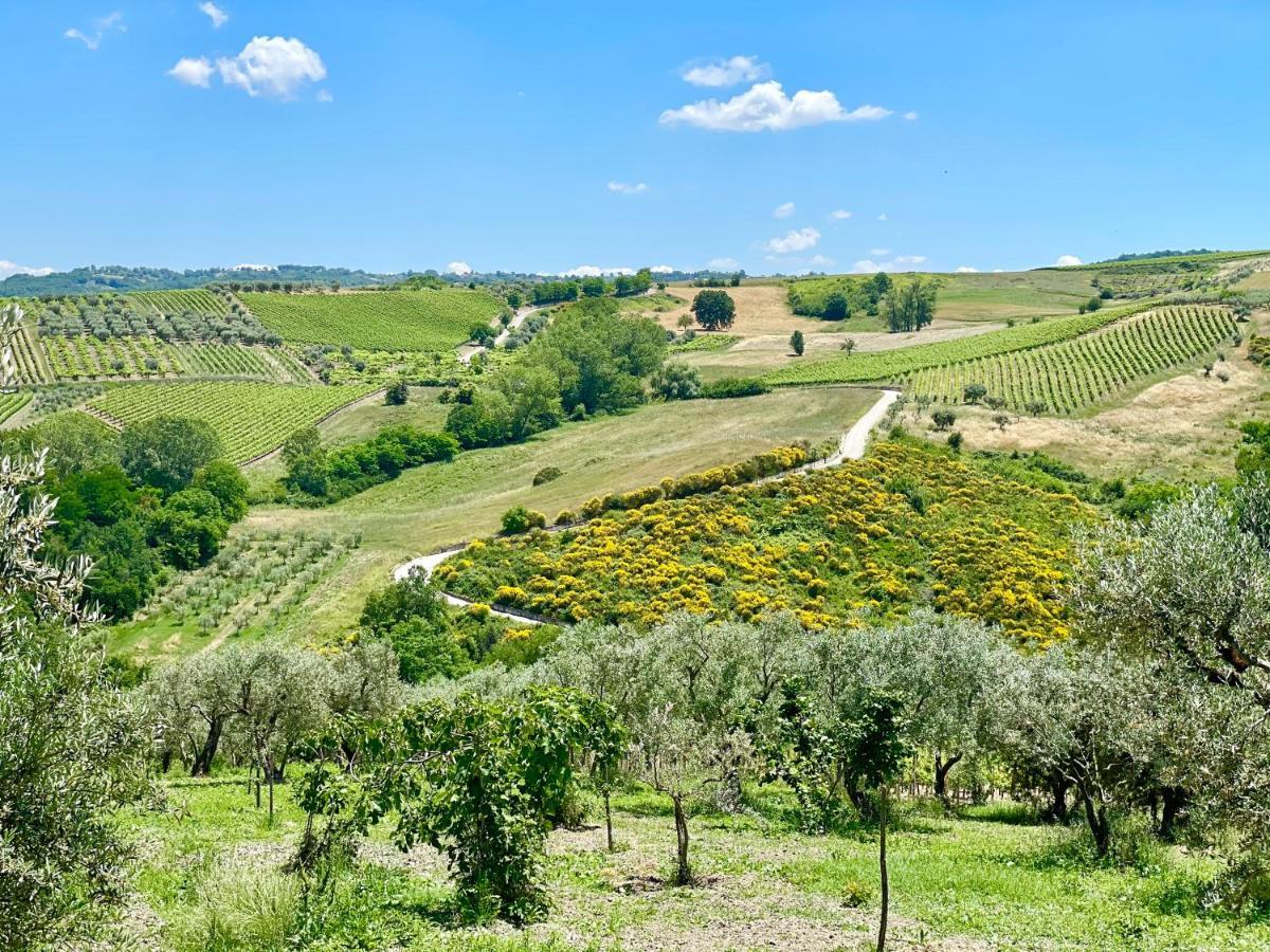 Agriturismo Le Masciare Paternopoli Dış mekan fotoğraf