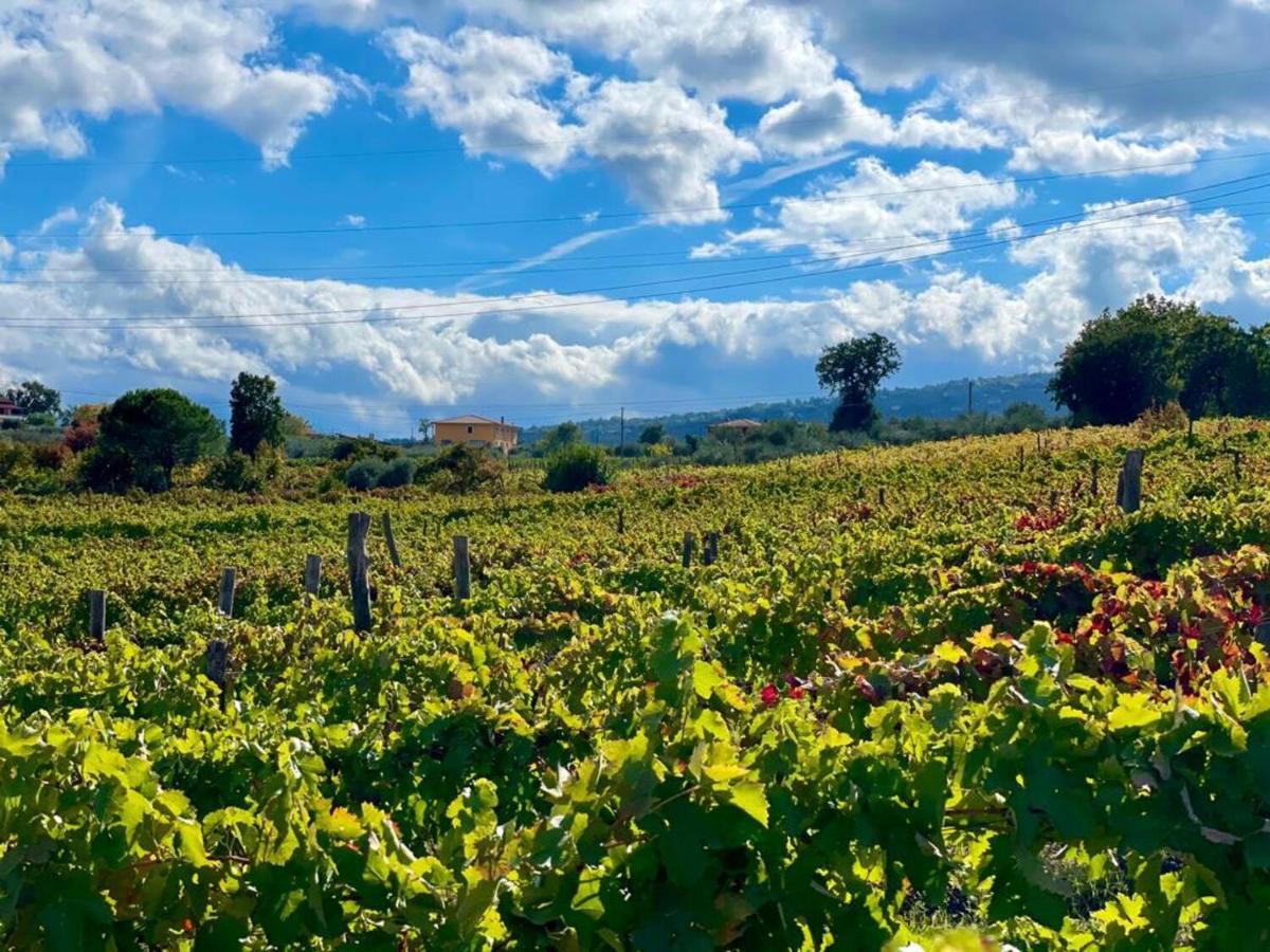 Agriturismo Le Masciare Paternopoli Dış mekan fotoğraf